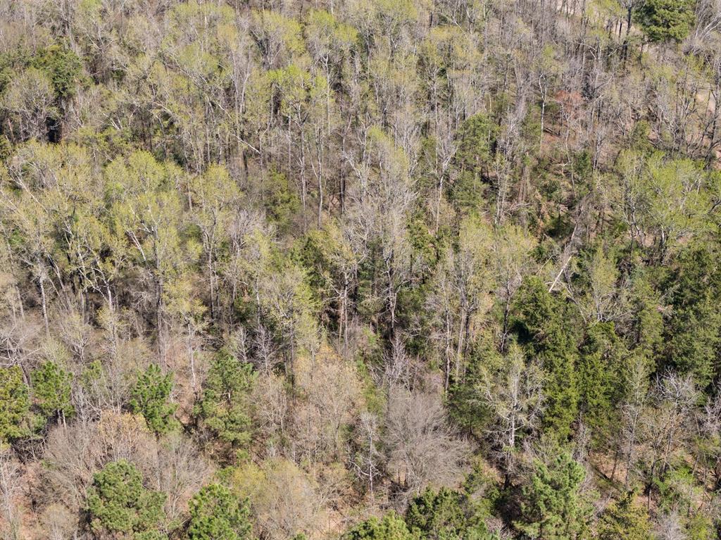 Lot 3 Cr 4365 Property Photo 7