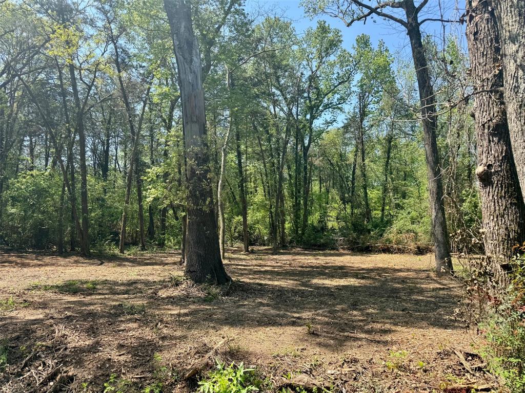 Lot 3 Cr 4365 Property Photo 10