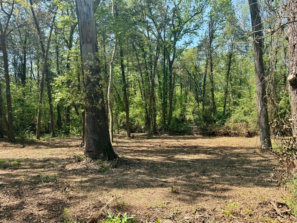 Lot 3 Cr 4365 Property Photo 11