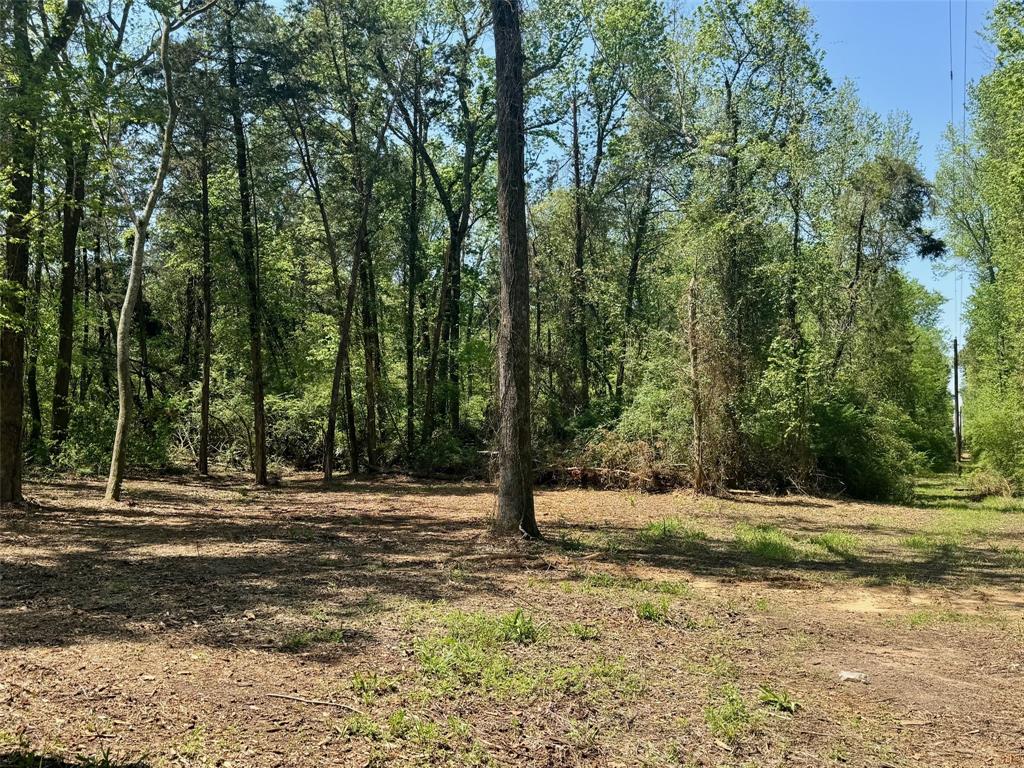 Lot 3 Cr 4365 Property Photo 12