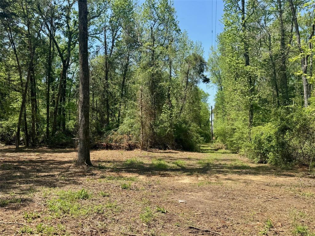 Lot 3 Cr 4365 Property Photo 13