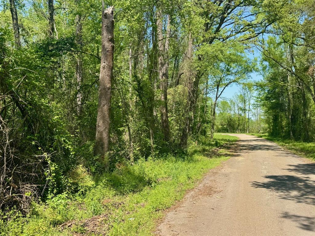 Lot 3 Cr 4365 Property Photo 14