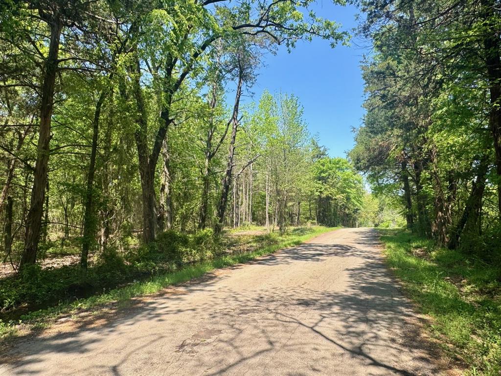 Lot 3 Cr 4365 Property Photo 16