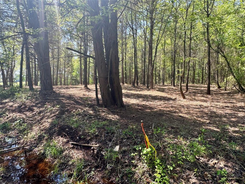Lot 3 Cr 4365 Property Photo 17