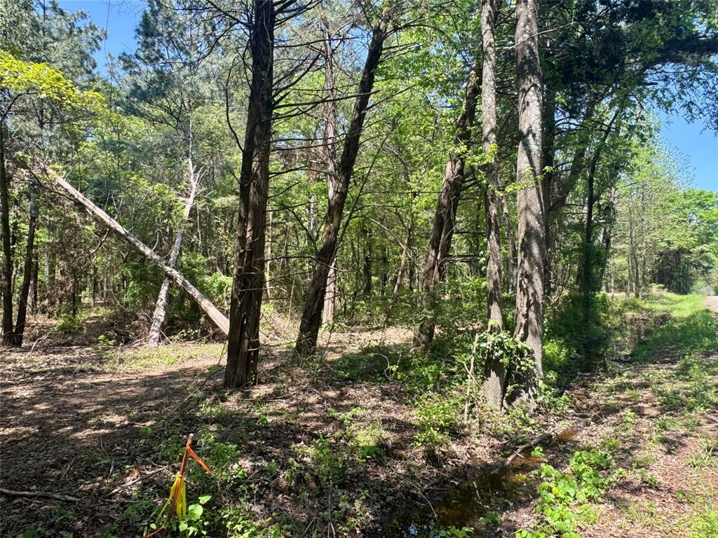 Lot 3 Cr 4365 Property Photo 18