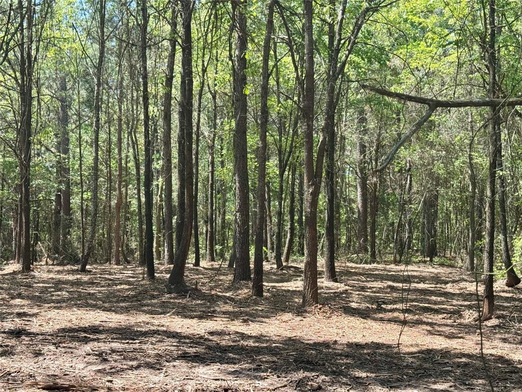Lot 3 Cr 4365 Property Photo 19
