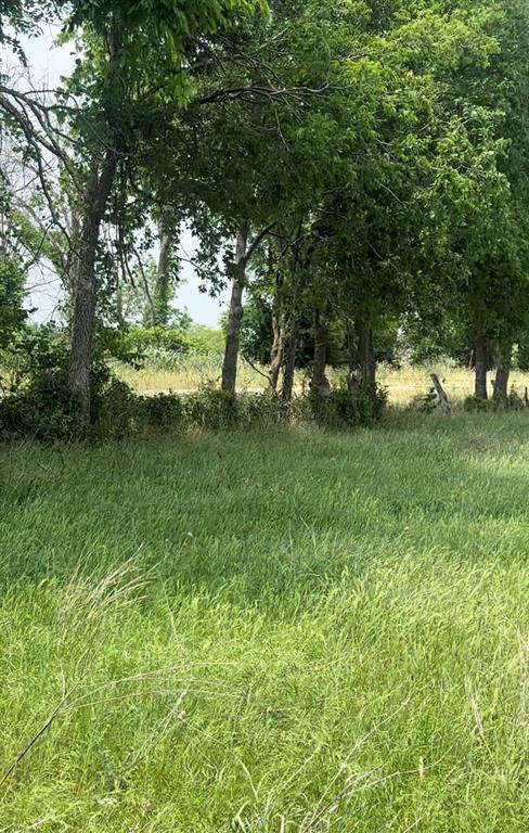 Tbd County Road 242 Property Photo 1