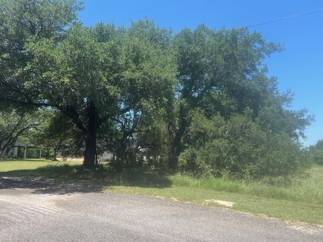 32020 Dove Trail Property Photo 3