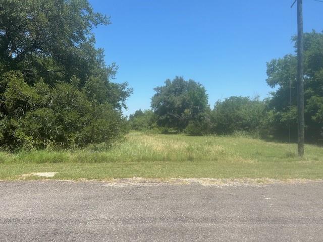 32020 Dove Trail Property Photo 4