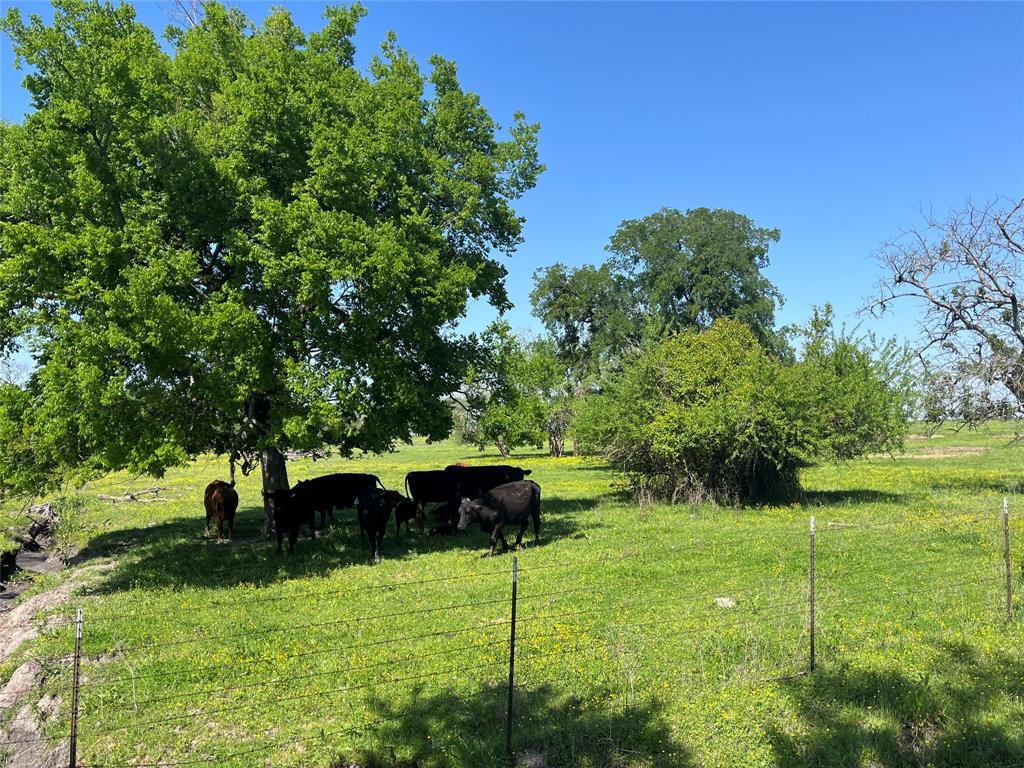 4798 E Fm 198 Property Photo 9
