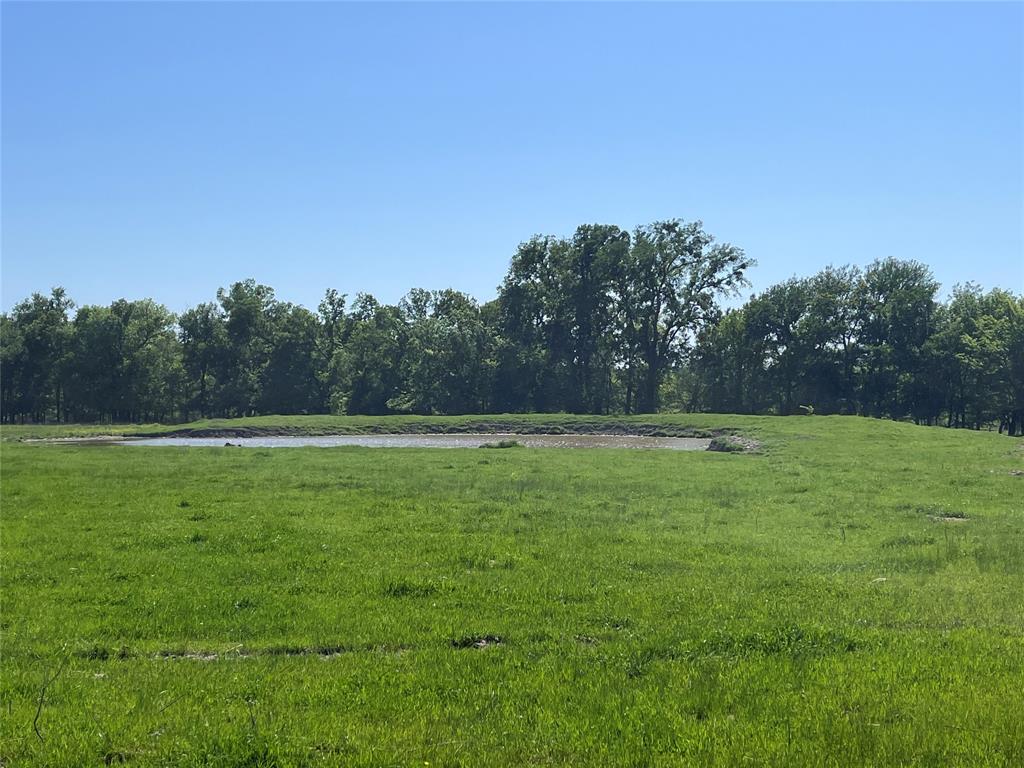 4798 E Fm 198 Property Photo 10