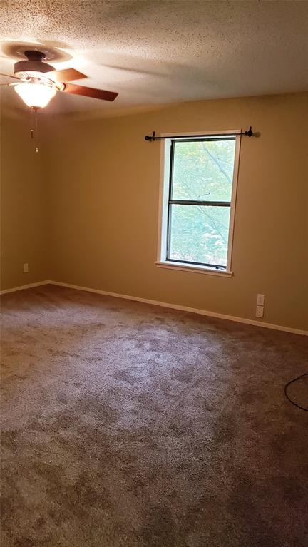 401 S Timberlane Property Photo 10