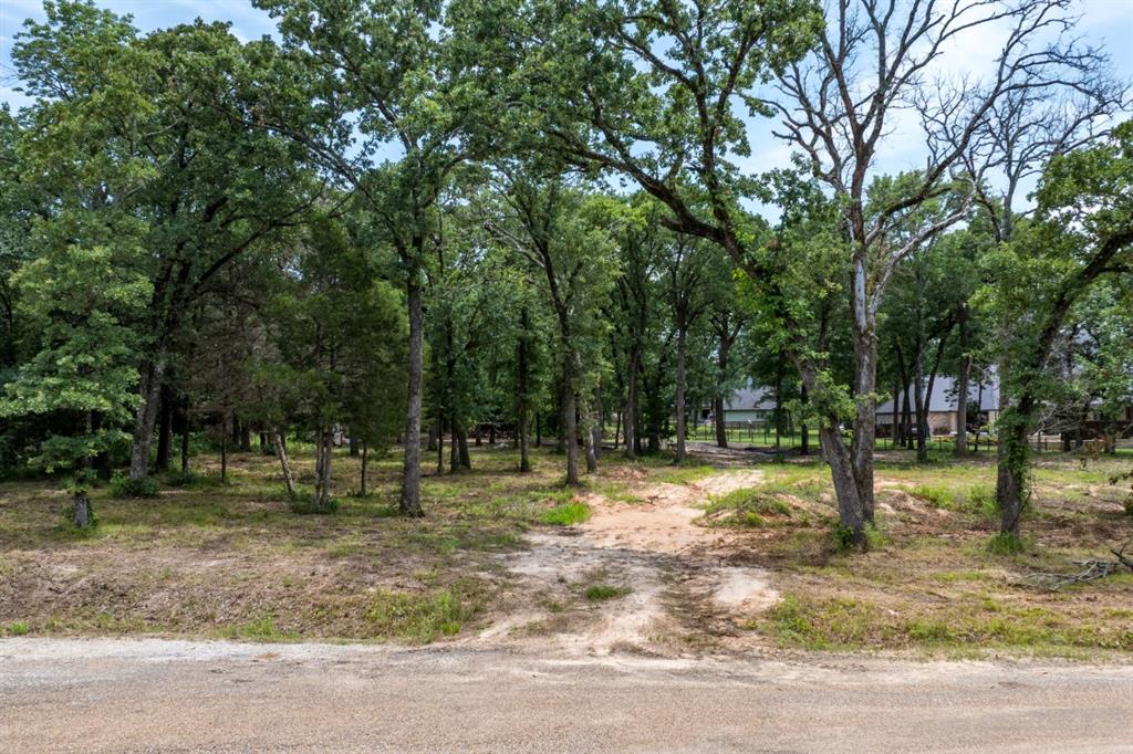 123 Oakmont Drive Property Photo 3