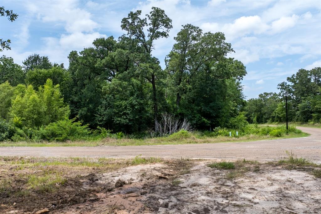 123 Oakmont Drive Property Photo 12