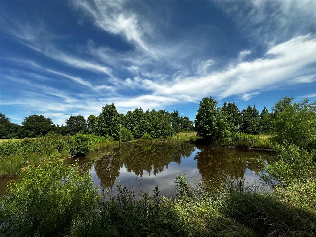 Tbd W Fm 852 Property Photo 1