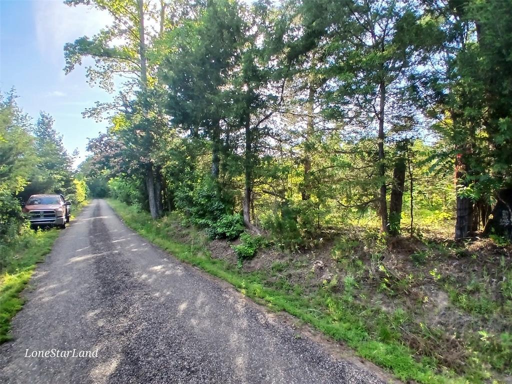 475 County Road 4421 Property Photo 1