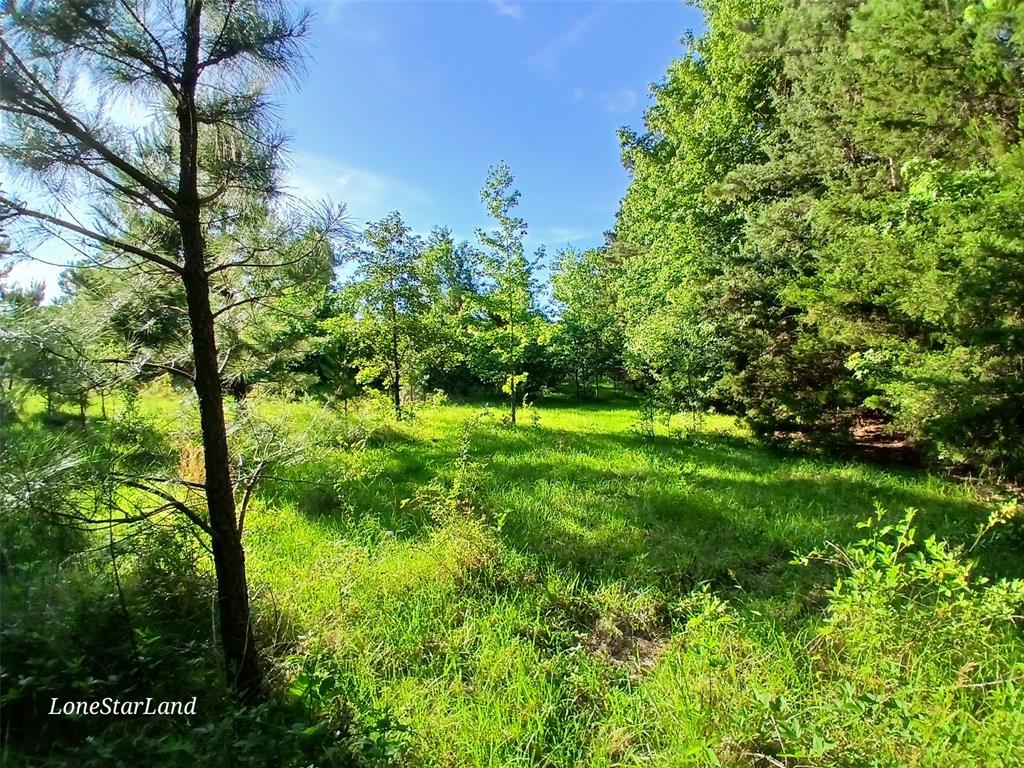 475 County Road 4421 Property Photo 1