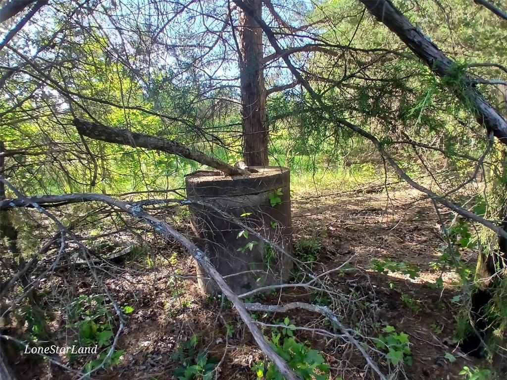 475 County Road 4421 Property Photo 2