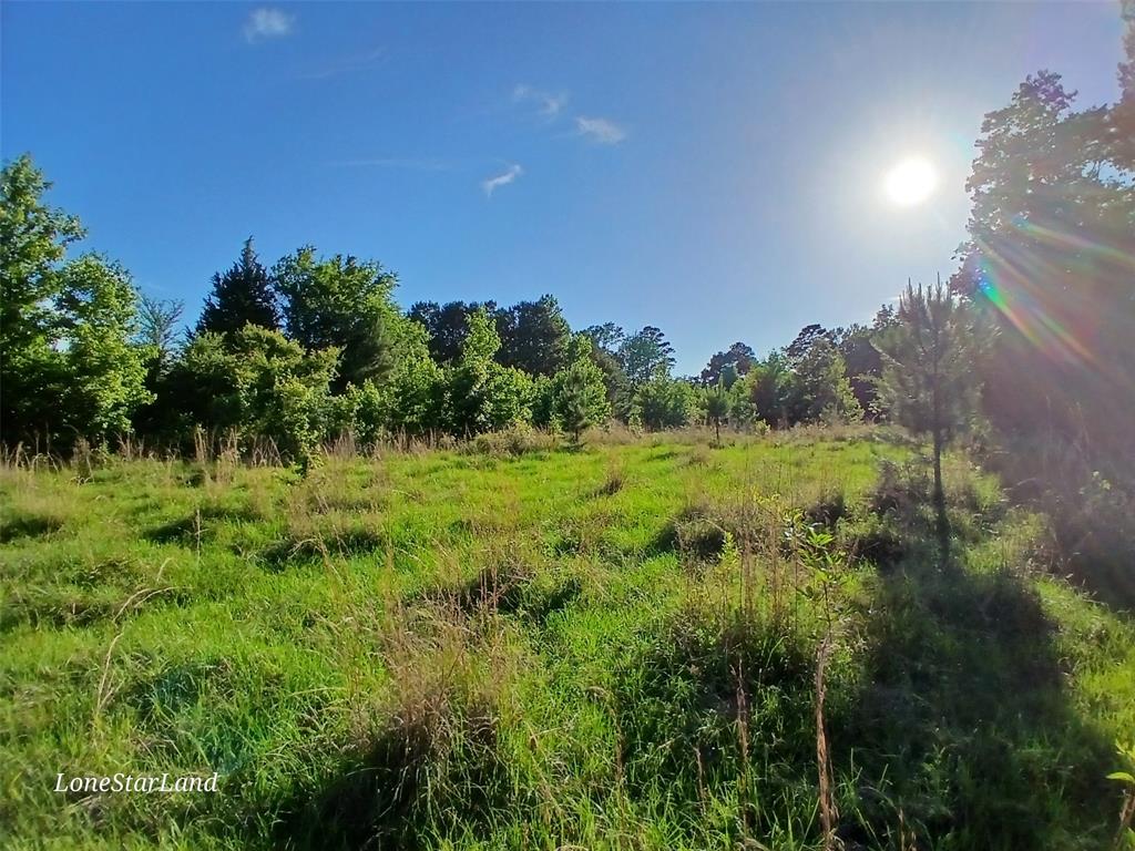 475 County Road 4421 Property Photo 5