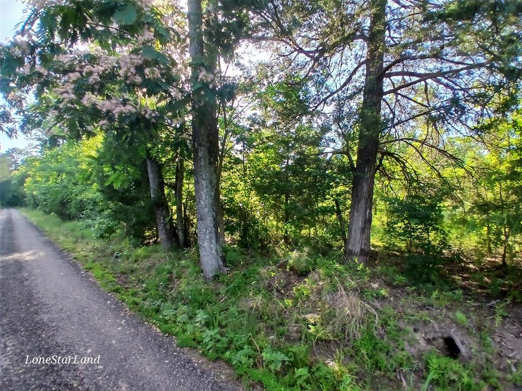 475 County Road 4421 Property Photo 6