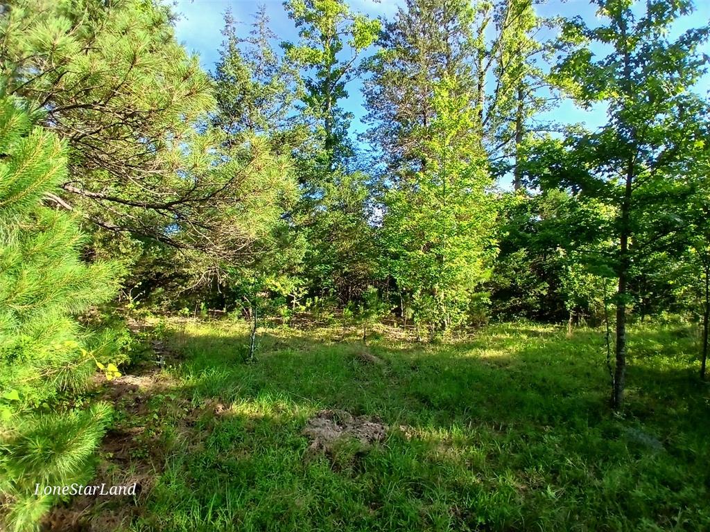 475 County Road 4421 Property Photo 8