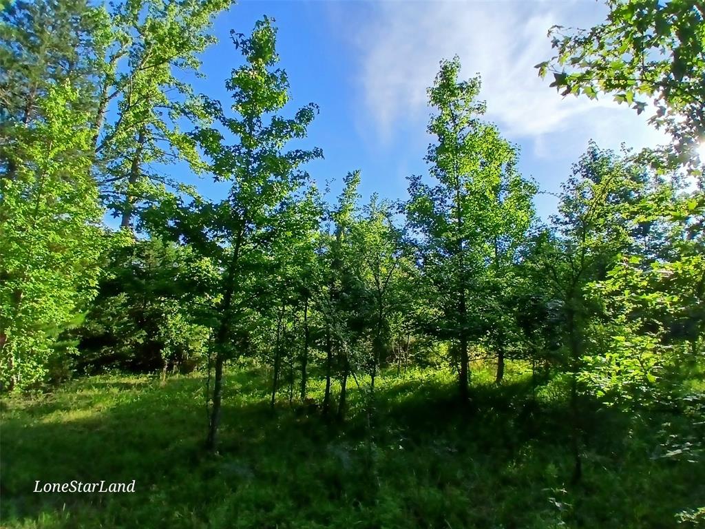 475 County Road 4421 Property Photo 9