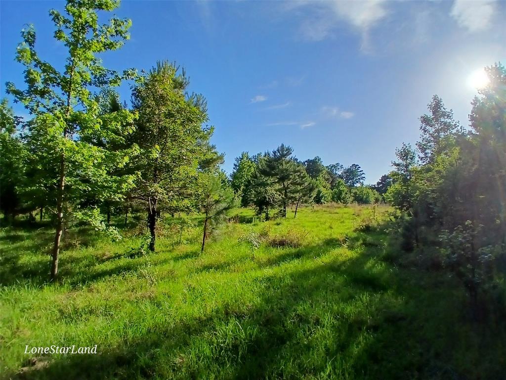 475 County Road 4421 Property Photo 10