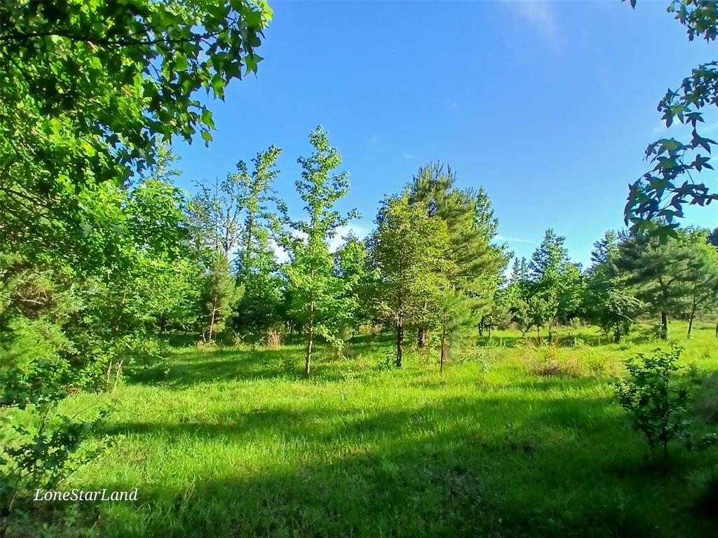 475 County Road 4421 Property Photo 11