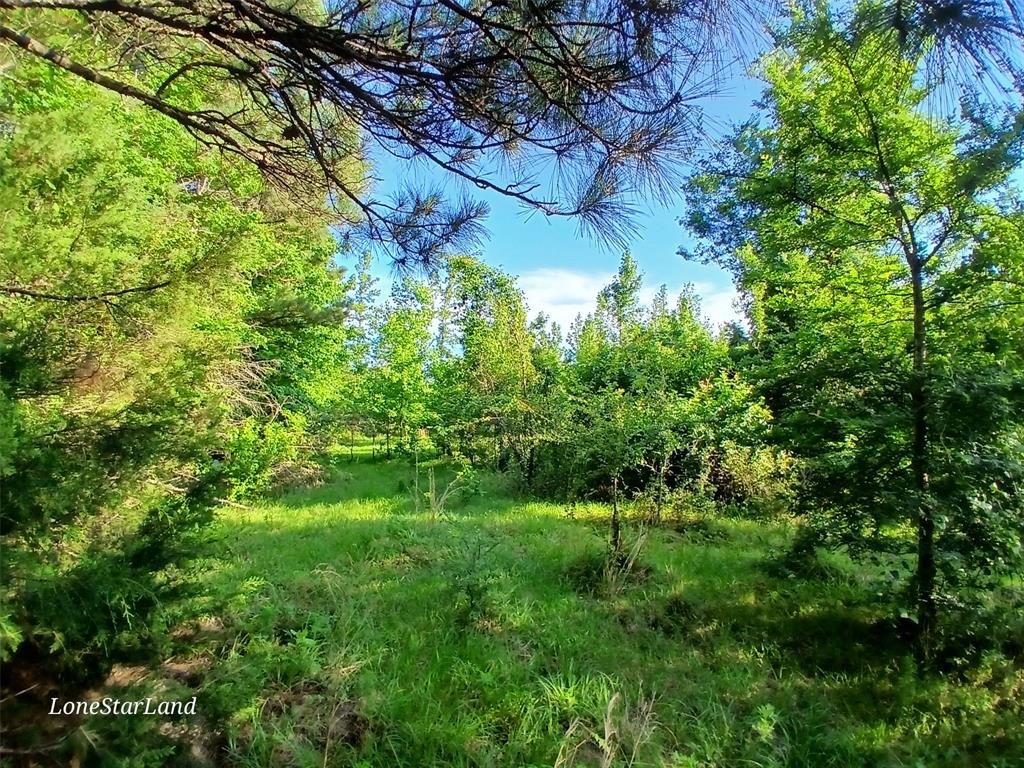 475 County Road 4421 Property Photo 12