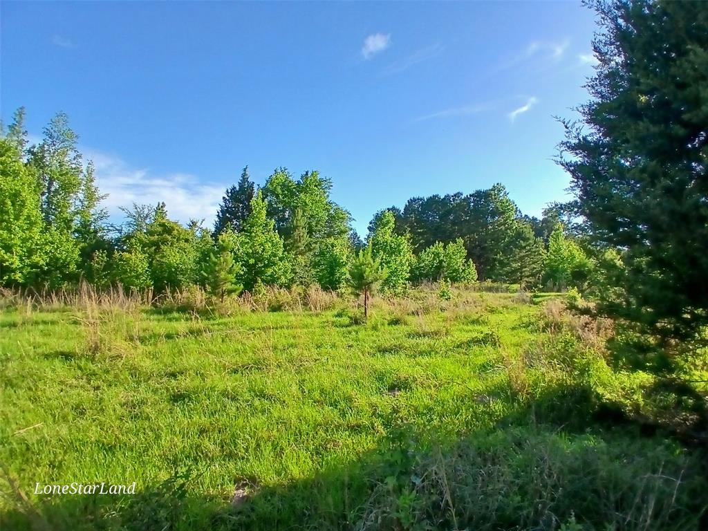 475 County Road 4421 Property Photo 14