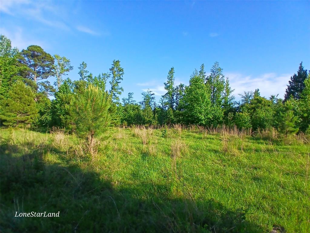 475 County Road 4421 Property Photo 15