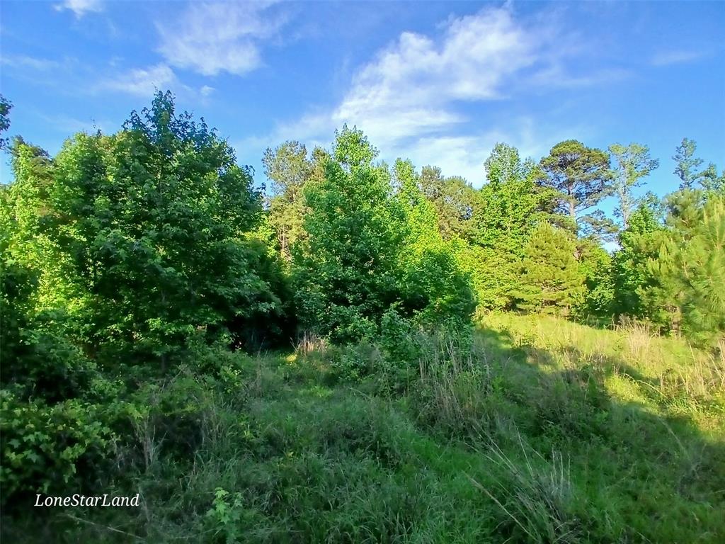 475 County Road 4421 Property Photo 16