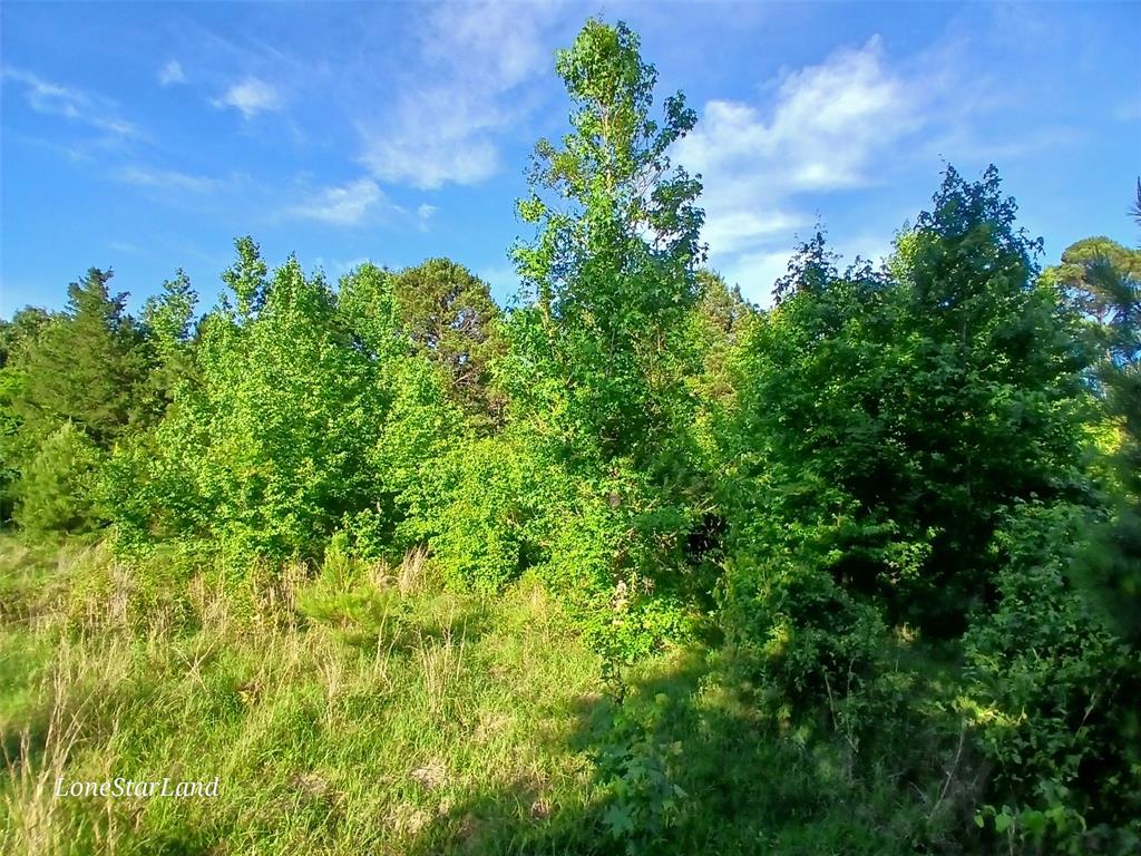 475 County Road 4421 Property Photo 17