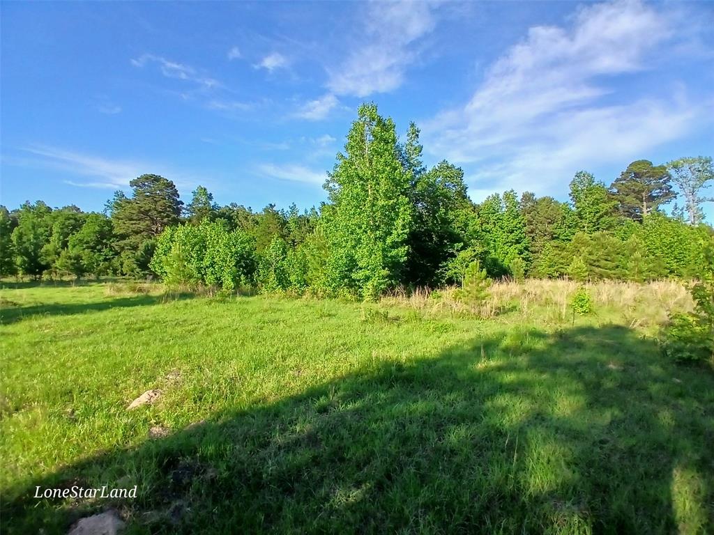 475 County Road 4421 Property Photo 18