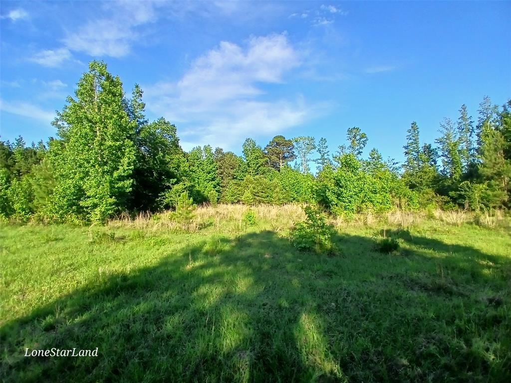 475 County Road 4421 Property Photo 19