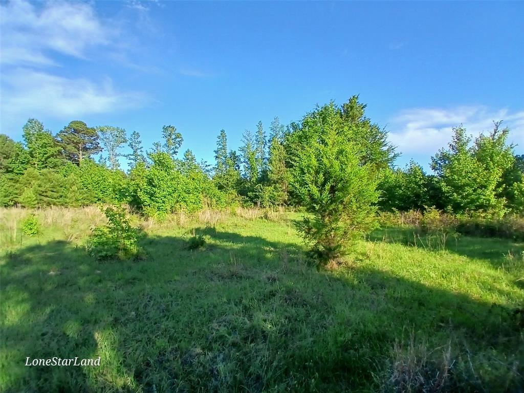 475 County Road 4421 Property Photo 20