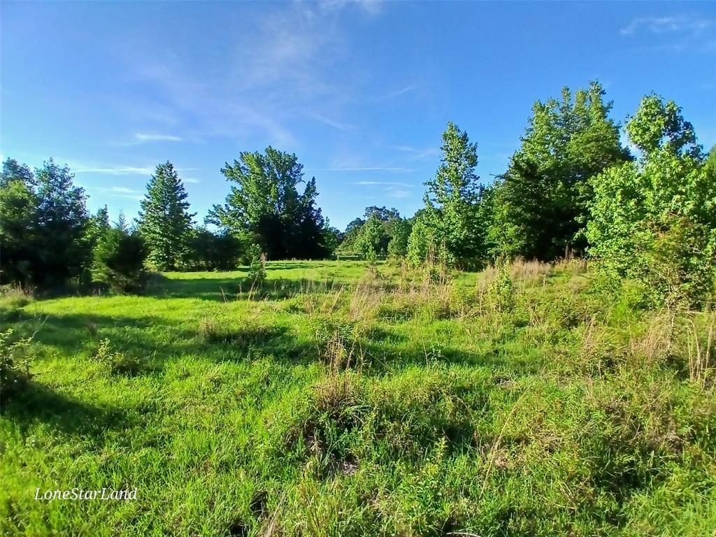 475 County Road 4421 Property Photo 21