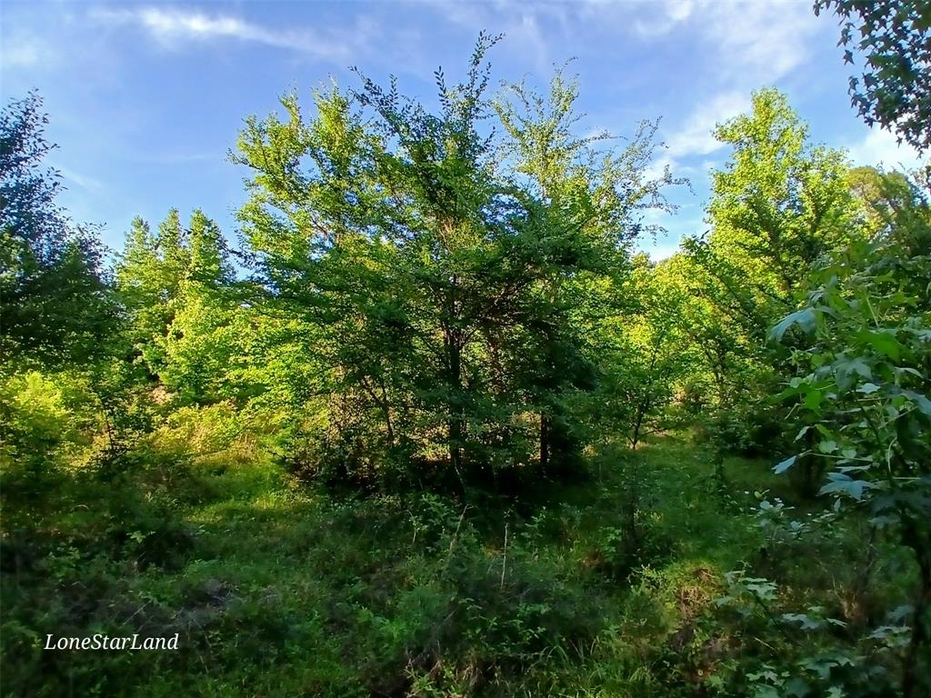 475 County Road 4421 Property Photo 22