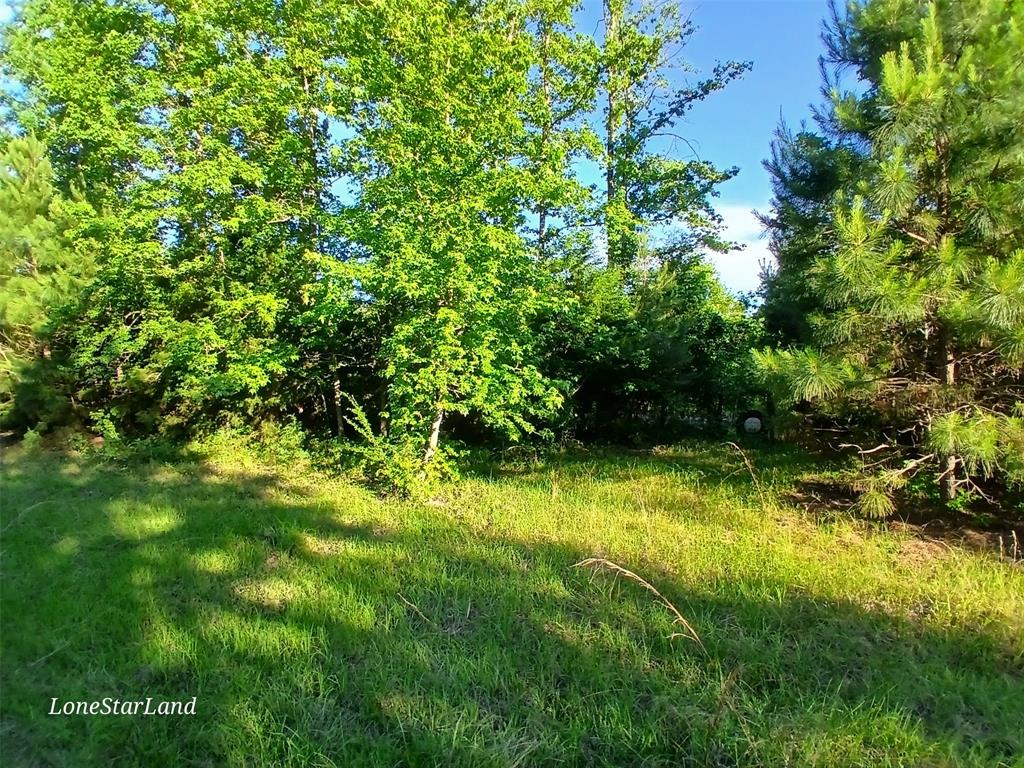 475 County Road 4421 Property Photo 23