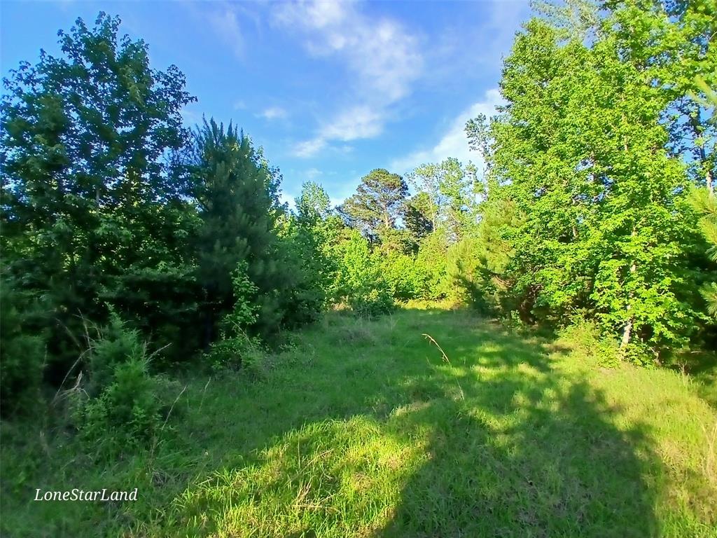 475 County Road 4421 Property Photo 24