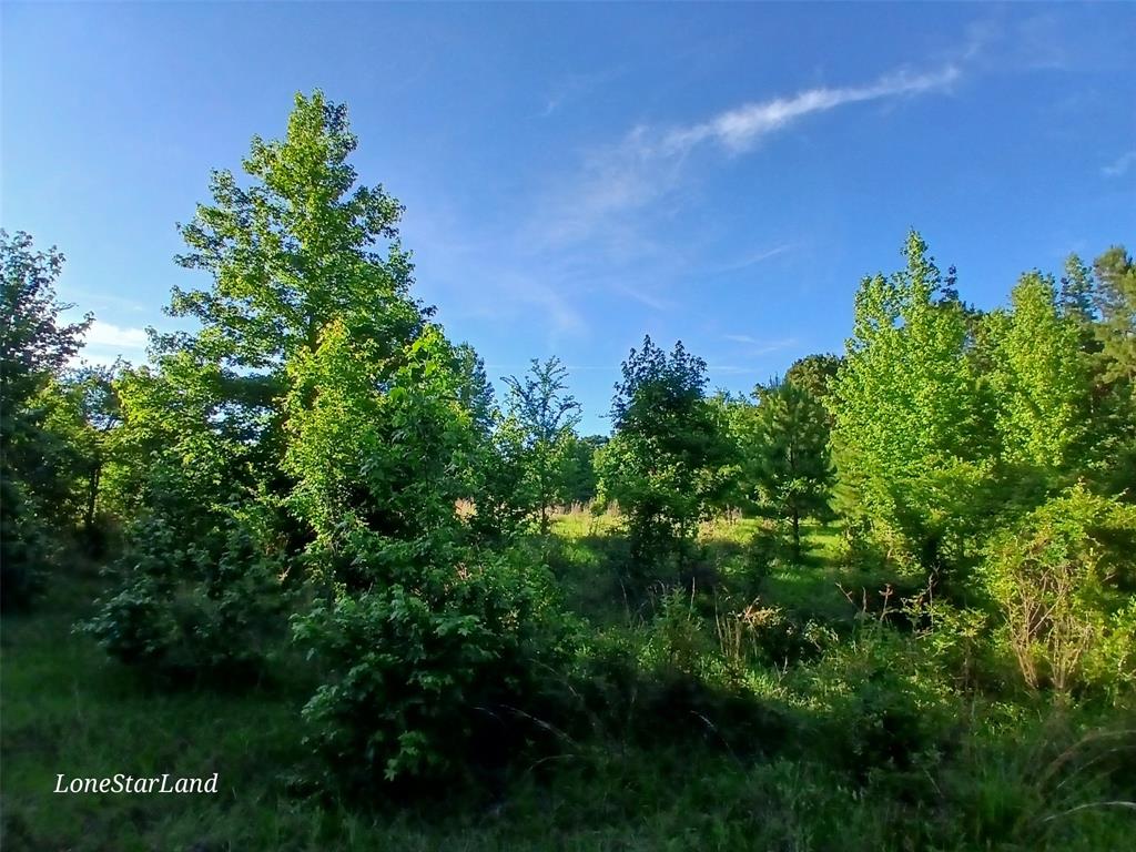 475 County Road 4421 Property Photo 25