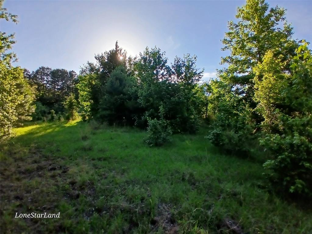 475 County Road 4421 Property Photo 26