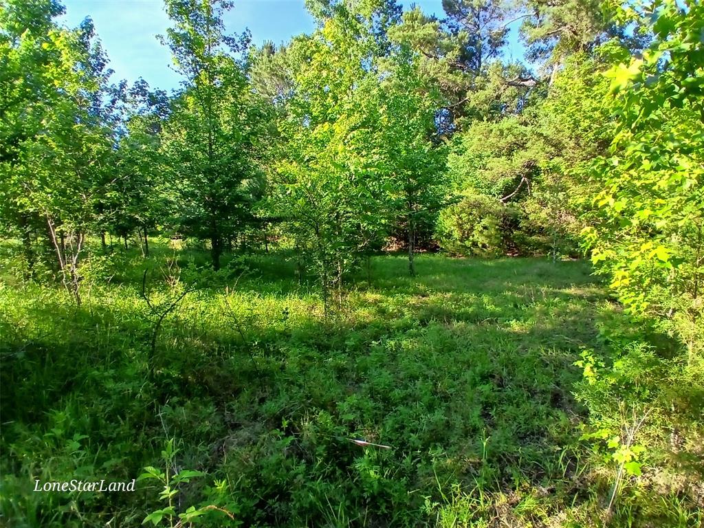 475 County Road 4421 Property Photo 27