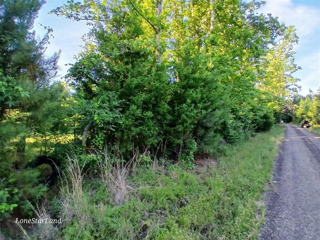 475 County Road 4421 Property Photo 28