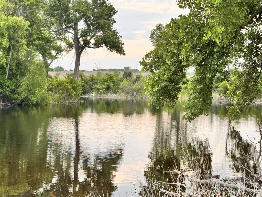 Tbd Fm 2331 Property Photo 2