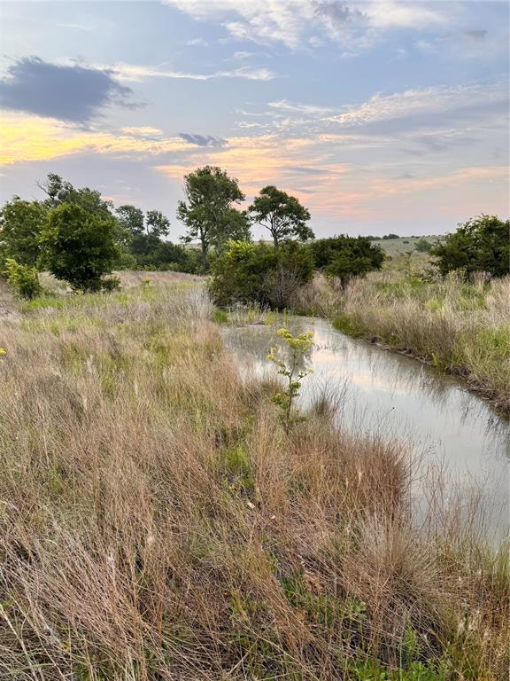 Tbd Fm 2331 Property Photo 3