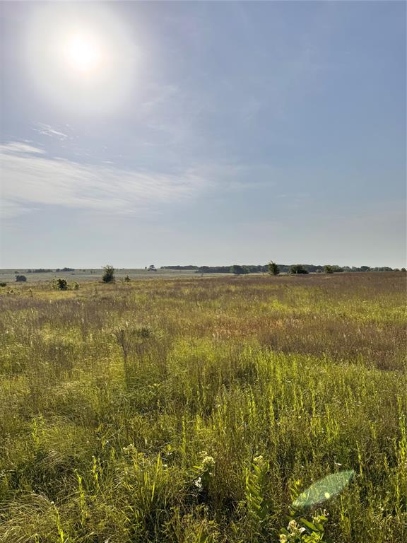 Tbd Fm 2331 Property Photo 5