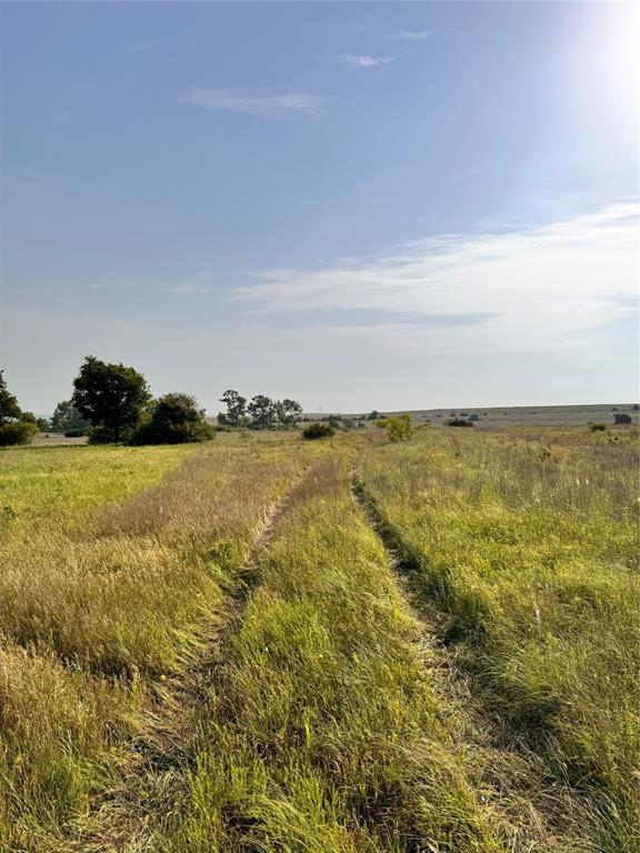 Tbd Fm 2331 Property Photo 6