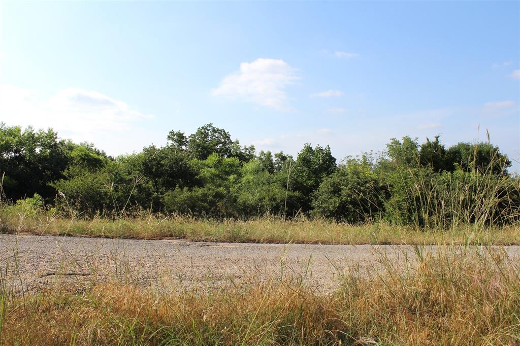 2704 Brazos River Drive Property Photo 2