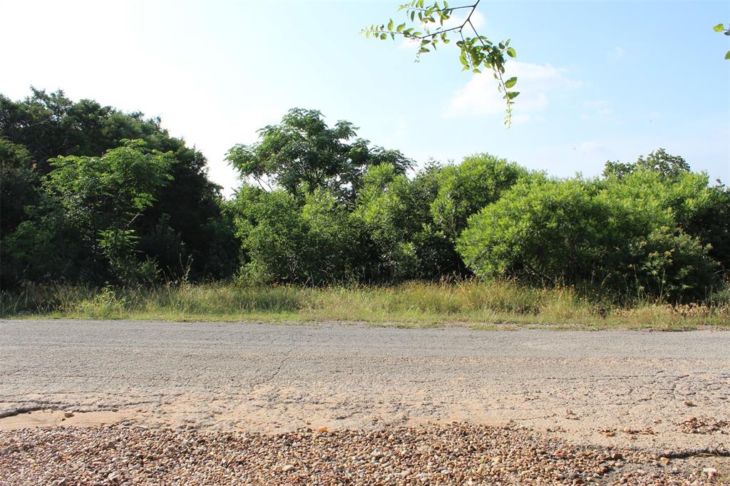 2704 Brazos River Drive Property Photo 3